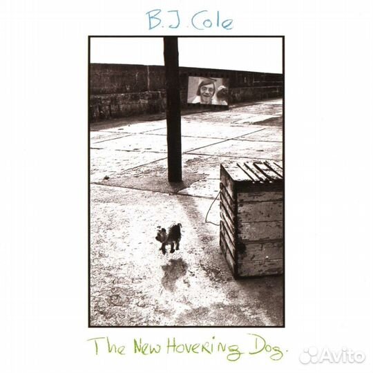 BJ Cole - The New Hovering Dog (1 CD)