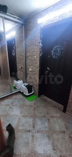 Комната 30,3 м² в 2-к., 3/5 эт.