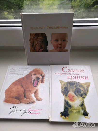 Книги все вместе