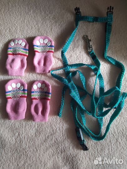 Ошейник для кошки и носочки