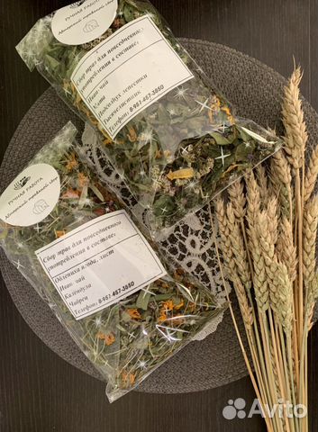 Сбор трав - Алтайской ключ