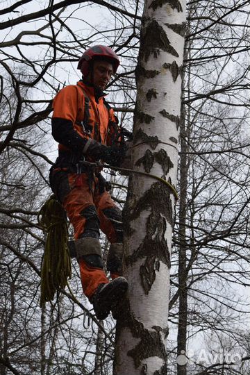 Удаление и кронирование деревьев