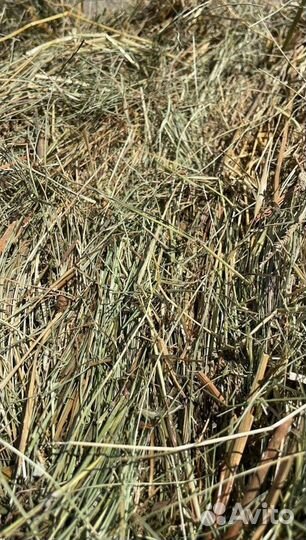 Сено и Опилки в тюках