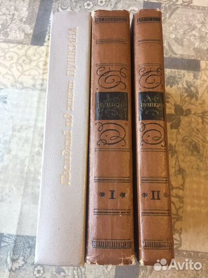 Пушкин 2 т, Последний год жизни Пушкина