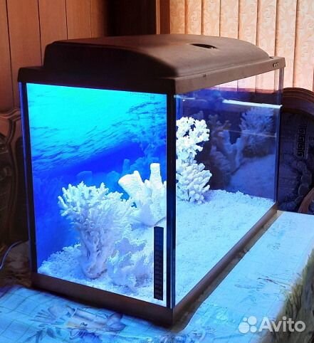 Аквариум в полной комплектации