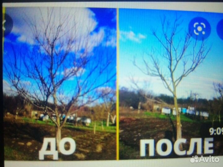 Обрезка.Спил.Посадка.Уборка.Газоны