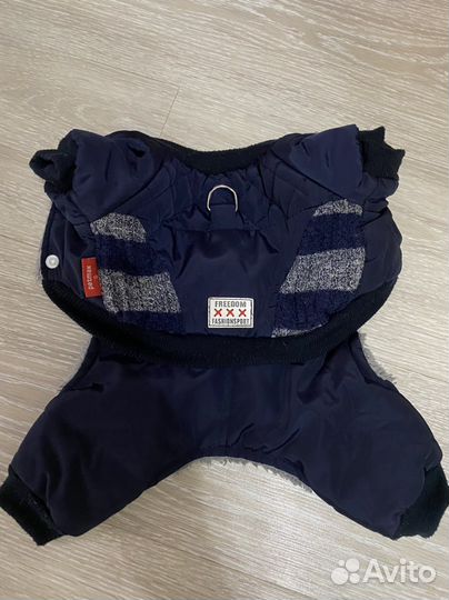 Одежда для маленьких собак