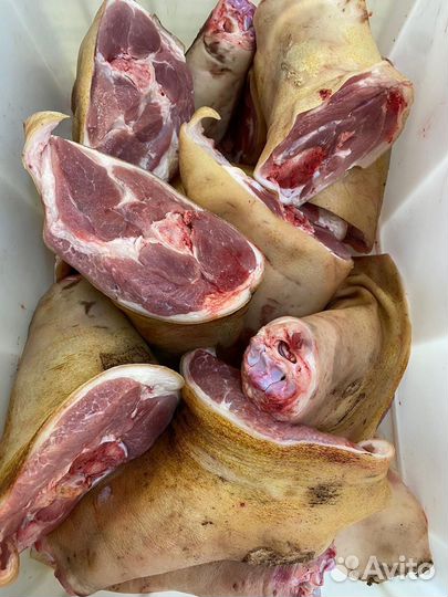 Мясо свинина