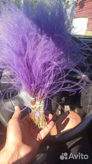 Ковыль, пшеница,пижма сухоцветы оптом и в розницу