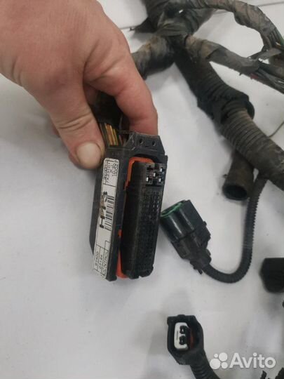 Проводка двс Hyundai Accent седан тагаз G4EC 2008