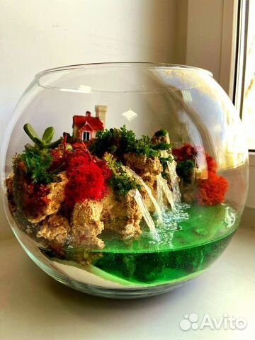 Флорариум Моссариум Подарок