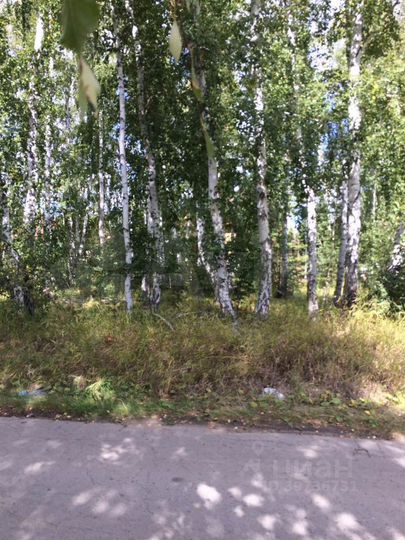 Участок 12 сот. (ИЖС)