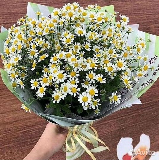 Цветы ромашки. Букеты ромашек. Цветы доставка