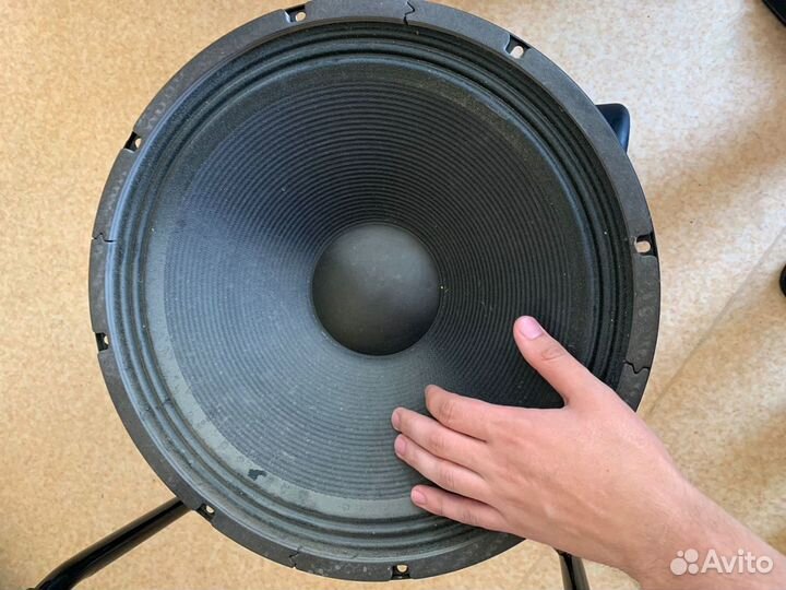 Динамик для сабвуфера