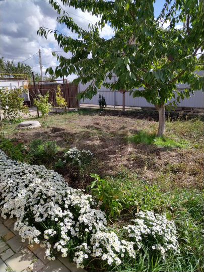 Дом 100 м² на участке 7 сот.