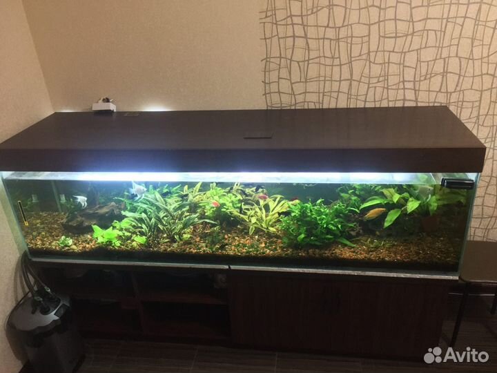 Аквариум