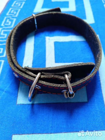 Ошейник для собак