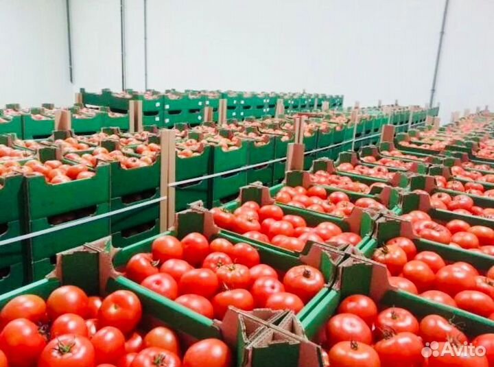 Вахта Тула с жильем от 25 смен Рабочие в теплицу