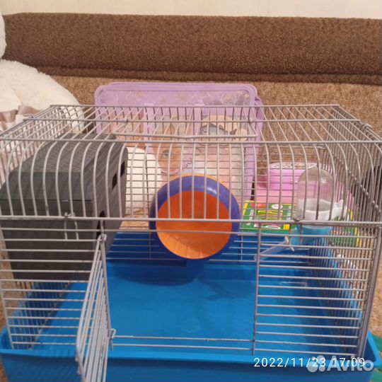 Клетка для сирийского хомяка