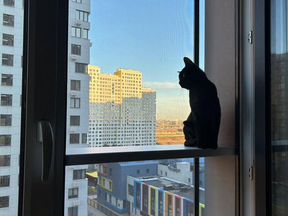 Выгул на окно, балкончик для кота