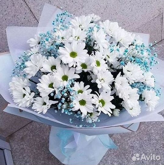 Хризантема