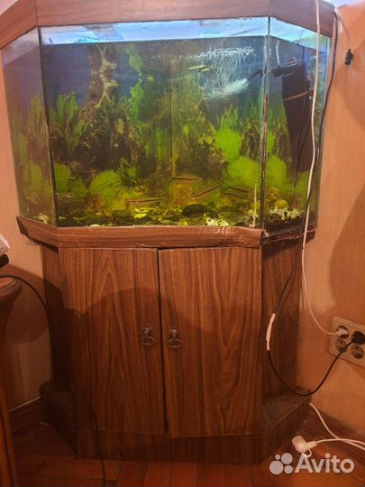 Аквариум с тумбой бу