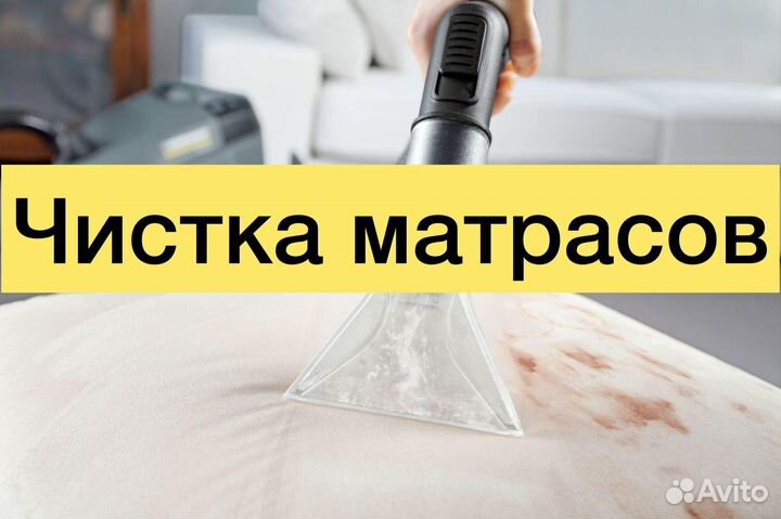 Аренда моющего пылесоса