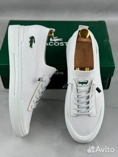 Кеды мужские белые lacoste