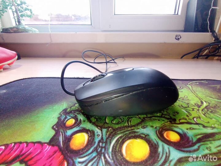 Мышь