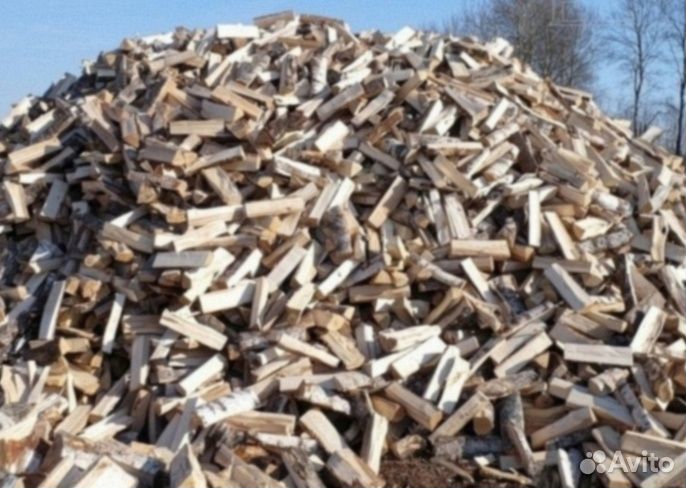 Дрова береза