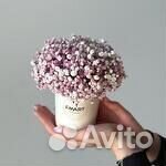 Цветы в коробке