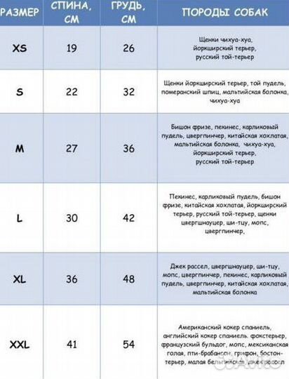 Одежда для маленькой собаки