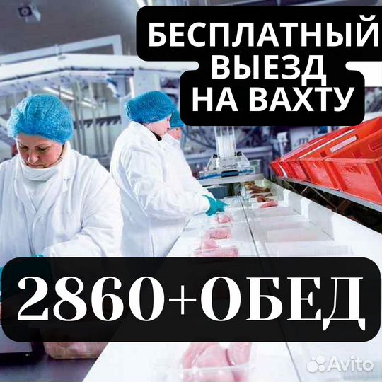 Вахта Пенза выезд бесплатно из Сызрани упаковщик