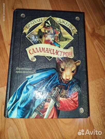 Детские книги. Брайан Джейкс 