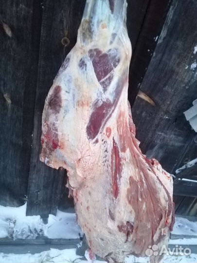 Мясо говядина