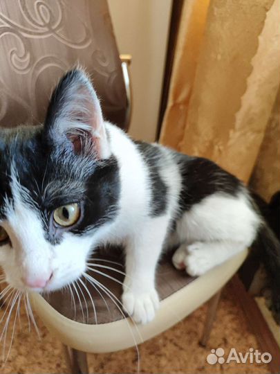 Малыш с приданым в добрые руки