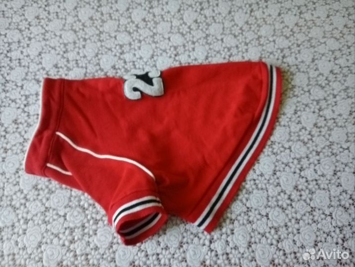 Разная одежда на собак средних пород