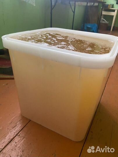 Продам Мед Алтайский