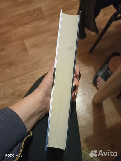 Кристина Старк крылья