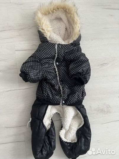 Комбинезон для собак