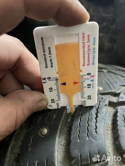 Nexen Winguard 195/65 R15