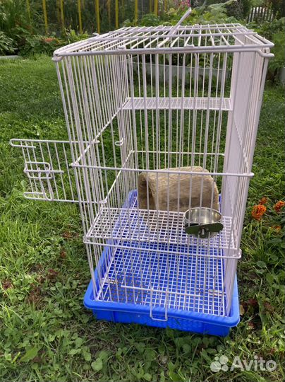 Клетка для шиншиллы, хорька или дэгу