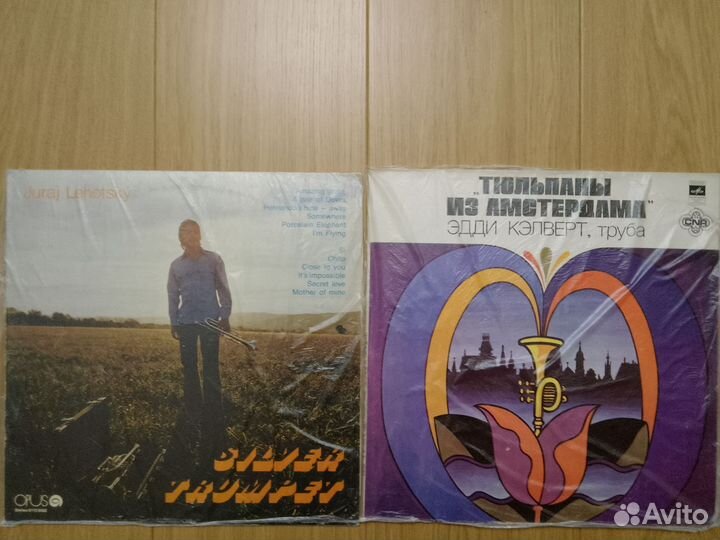 Трубачи - Jazz и классика. Т. Докшицер. Gojkovic