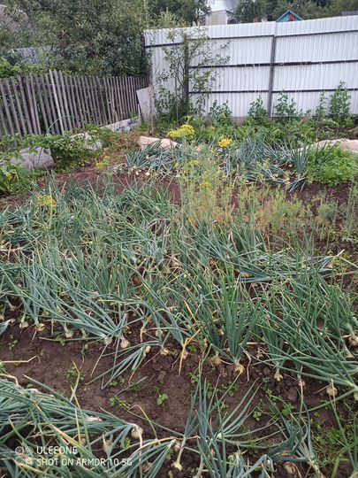 Дача 12 м² на участке 6 сот.