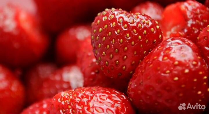 Подсобный рабочий