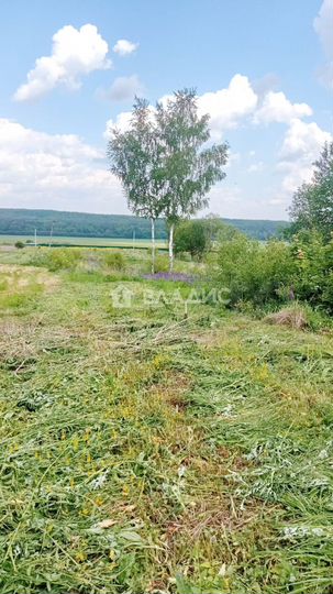 Участок 25 сот. (ИЖС)