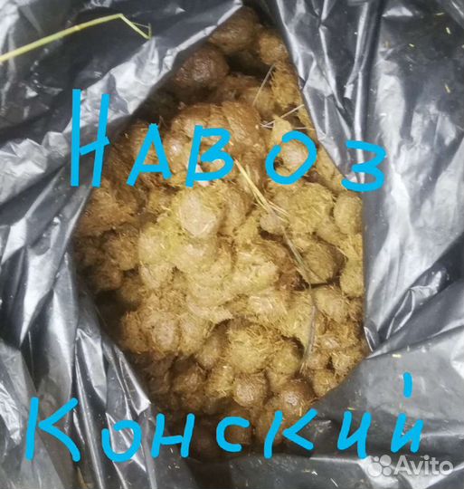 Навоз конский