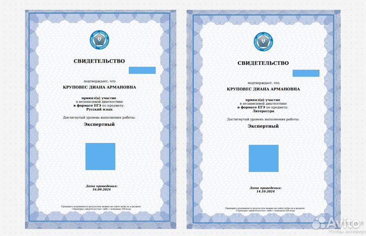 Репетитор по литературе и русскому языку ЕГЭ