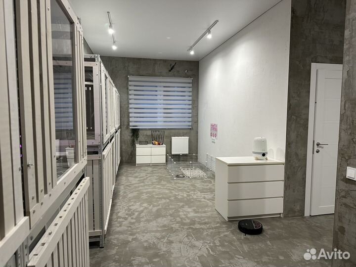 Зоогостиница для собак и кошек