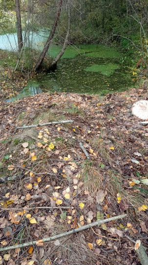 Участок 6 сот. (ИЖС)